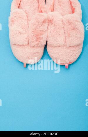 Scarpe domestiche con orecchie nane. Su plain.background con posto per testo. Foto Stock