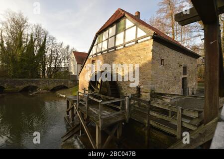 19 gennaio 2019. Lemgo, Renania Settentrionale-Vestfalia, Germania. Storico mulino ad acqua Foto Stock