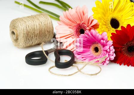 Bouquet di gerberi isolato su sfondo bianco vicino - su.. Concetto per decorazioni floreali Foto Stock