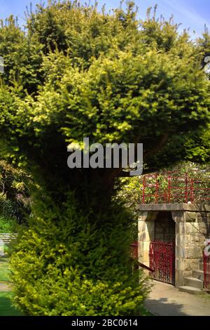 Wentworth Castle Gardens, South Yorkshire Foto Stock