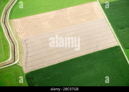 Foto aeree, agricoltura, trattore, prato, contadino [traduzione automatica] Foto Stock