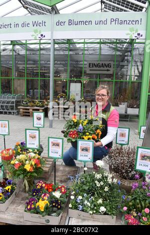 Il vivaio Berchtenbreiter di Obergiesing ha allestito un taxi fiorito per rifornire i propri clienti di fiori durante le restrizioni di uscita correlate alla corona. La foto mostra Alexandra Berchtenbreiter con una parte della selezione di fiori che possono essere ordinati online. [traduzione automatica] Foto Stock