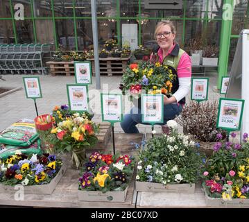 Il vivaio Berchtenbreiter di Obergiesing ha allestito un taxi fiorito per rifornire i propri clienti di fiori durante le restrizioni di uscita correlate alla corona. La foto mostra Alexandra Berchtenbreiter con una parte della selezione di fiori che possono essere ordinati online. [traduzione automatica] Foto Stock