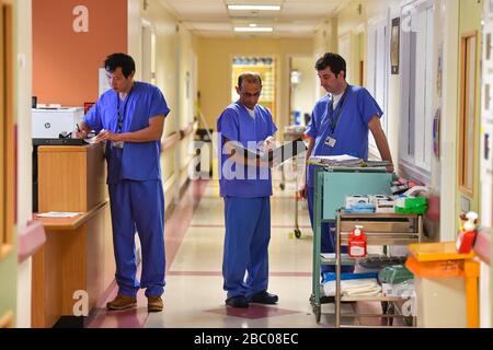 Personale medico del reparto di Covid-19 presso il Neath Port Talbot Hospital, in Galles, mentre i servizi sanitari continuano la loro risposta all'epidemia di coronavirus. Foto Stock