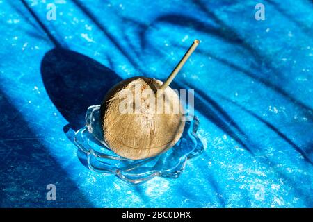 Cocco fresco con cannuccia di bambù inserita in esso su lastra di vetro su sfondo blu con ombre e spazio di copia. Concetto di zero sprechi. Rifiuto della plastica Foto Stock