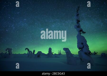 Aurora boreale nel Parco Nazionale di Riisitunturi, Lapponia, Finlandia Foto Stock