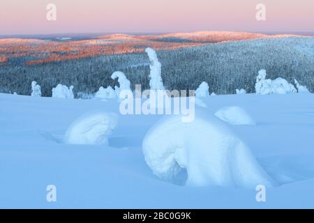 Alba nel Parco Nazionale di Riisitunturi, Lapponia, Finlandia Foto Stock