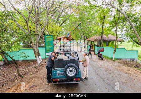 I veicoli del safari di Gipsy verdi attendono nella mattina per l'entrata al Parco Nazionale di Kaziranga per aprire, Assam, India nordorientale Foto Stock