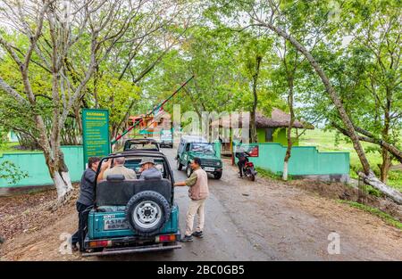 I veicoli del safari di Gipsy verdi attendono nella mattina per l'entrata al Parco Nazionale di Kaziranga per aprire, Assam, India nordorientale Foto Stock