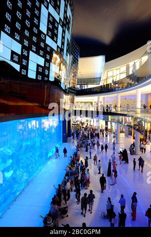 Folla che guarda l'Acquario all'interno del gigantesco Dubai Mall nel centro di Dubai, negli Emirati Arabi Uniti. Foto Stock