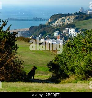 Vista sulla città di Hastings, Regno Unito, dall'uscita della funicolare a East Cliff Hill Foto Stock