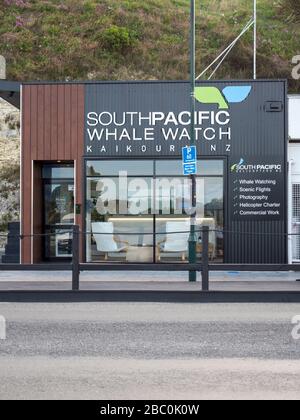 L'azienda Southern Pacific Whale Watch costruisce e prenota un ufficio a Kaikoura Nuova Zelanda. Foto Stock