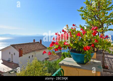 Vista panoramica sul mare da Raito, un villaggio sulla costiera amalfitana in Italia Foto Stock