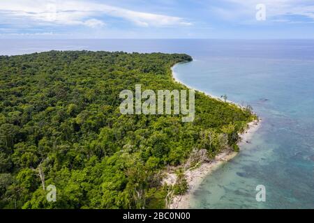 Vista aerea del Parco Nazionale di Cahuita lungo la costa meridionale dei Caraibi del Costa Rica. Foto Stock