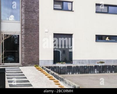 Bambrugge, Belgio, 30th Mar 2020: Due case vicine con orsacchiotti in finestra. I quartieri partecipano all'azione per occupare i bambini piccoli durante le misure 'senza scuola' a causa della crisi corona. Le immagini dei giocattoli sono messe in linea, in modo da i capretti accompagnati da un adulto possono andare su un orso-caccia nel loro neigbourhood quando sono permessi uscire per un certo aria fresca. Foto Stock