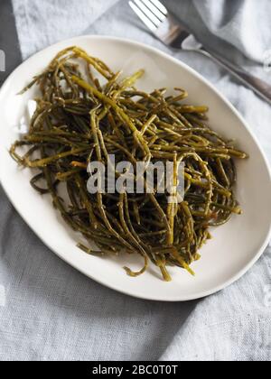 Salicornia europaea, conosciuta come comune vetrai o nome francese, herbe de Saint-Pierre, Italia, Europa Foto Stock