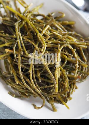 Salicornia europaea, conosciuta come comune vetrai o nome francese, herbe de Saint-Pierre, Italia, Europa Foto Stock