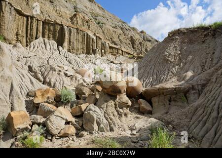 Theodore Roosevelt National Park nel North Dakota USA Foto Stock