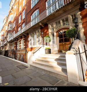 Scale che conducono all'entrata di un tipico palazzo edoardiano blocco di appartamenti nel cuore di Bloomsbury, Londra, Inghilterra, Regno Unito. Foto Stock