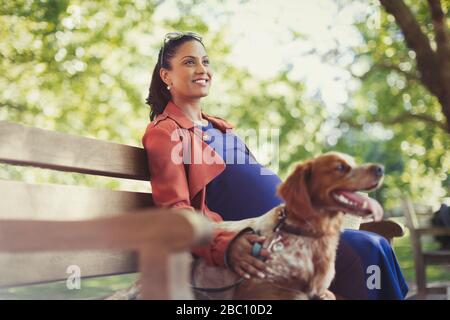 Donna incinta sorridente con cane seduto sul panca del parco Foto Stock