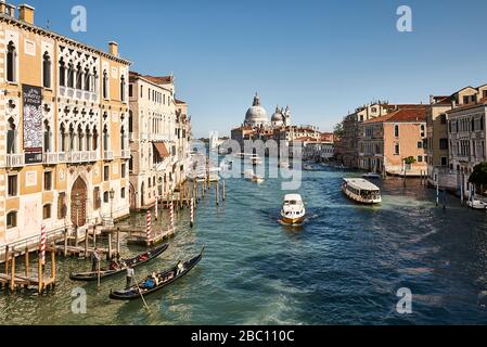 Vista dal Ponte dell'Accademia sul canale Grande di Venezia. Foto Stock