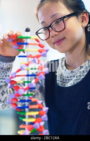 Studente ragazza che esamina il modello di DNA in classe Foto Stock