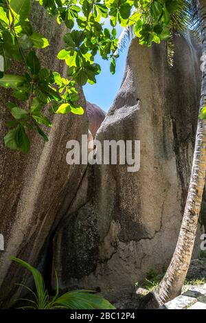 Granitfelsen am Strand Anse Source d'Argent, Insel la Digue, Seychellen, Indischer Ozean, Afrika Foto Stock