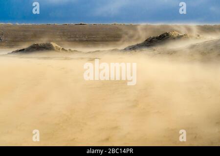 Paesi Bassi, Goeree-Overflakkee, tempesta di sabbia nelle dune Foto Stock