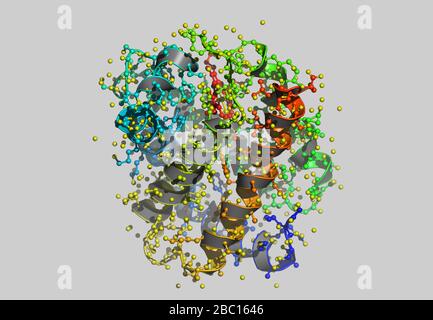 Modello molecolare Hämoglobin con atomi Foto Stock