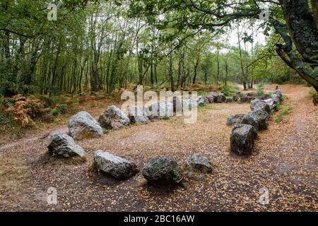 IL GIARDINO DEI MONACI, MONUMENTO MEGALITICO, LA SUA FUNZIONE RIMANE ANCORA SCONOSCIUTA, NEANT SUR YVEL (35), BRETAGNA, FRANCIA Foto Stock