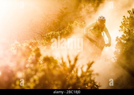 Femmina moutainbiker in pista sterrata durante il tramonto, Fort Ord National Monument Park, Monterey, California, Stati Uniti Foto Stock