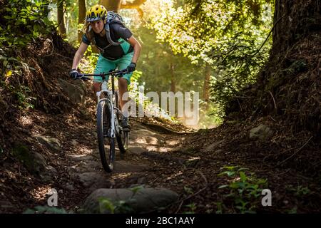 Donna in mountain bike su pista forestale, Santa Cruz, California, Stati Uniti Foto Stock