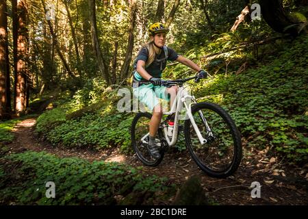Donna in mountain bike su pista forestale, Santa Cruz, California, Stati Uniti Foto Stock