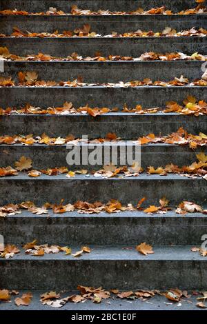 Germania, pietre passi coperti in autunno caduto foglie Foto Stock