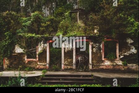 Spagna, Provincia di UNA Coruna, San Saturnino, casa abbandonata in foresta Foto Stock