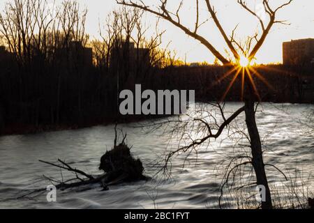 Un colpo del tramonto al Saranac River Trail, Plattsburgh, New York. Foto Stock