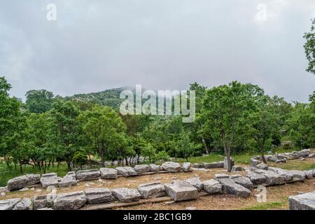 Grecia, Oichalia, Foresta Verde vista dal sito archeologico di Bassae Foto Stock