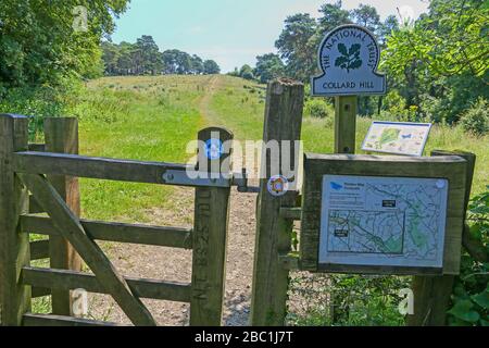 Collard Hill, con una bacheca informativa in primo piano, Somerset, Inghilterra, Regno Unito, FOTO SCATTATA DAL SENTIERO PUBBLICO Foto Stock