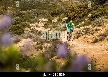 Uomo che corre su sentiero dirth in mountain bike nel Fort Ord National Monument Park, Monterey, California, Stati Uniti Foto Stock