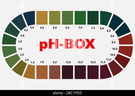 Scatola pH con carta per test utilizzata per l'analisi di liquidi diversi Illustrazione Vettoriale