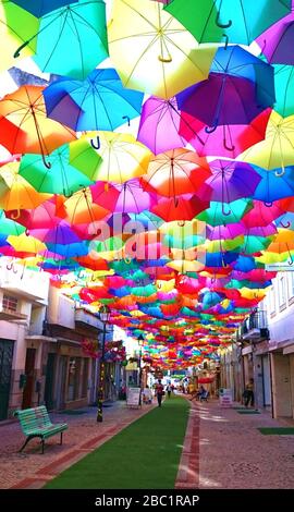 Ombrelloni colorati sulla strada di Agueda, Portogallo Foto Stock