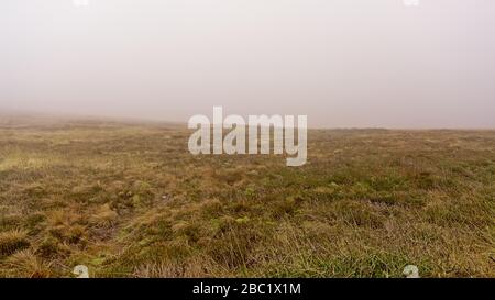 Campo d'erba su un altopiano in una giornata nuvolosa nebbia sulle montagne Ticknok, Dublino, Irlanda. Foto Stock