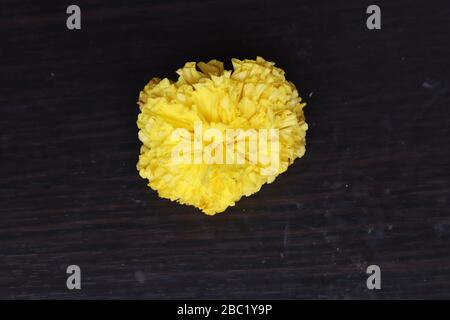 Marigold Flower Rangoli Design per il Festival Ugadi Foto Stock