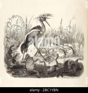 Grandville - Favole de la Fontaine - 03-04 . Les Grenouilles qui demandent un Roi. Foto Stock