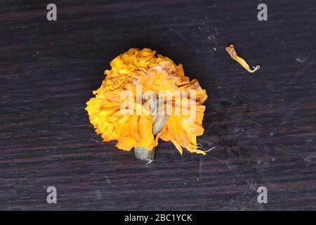 Marigold Flower Rangoli Design per il Festival Ugadi Foto Stock