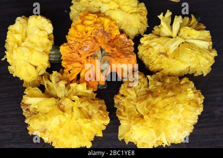 Marigold Flower Rangoli Design per il Festival Ugadi Foto Stock