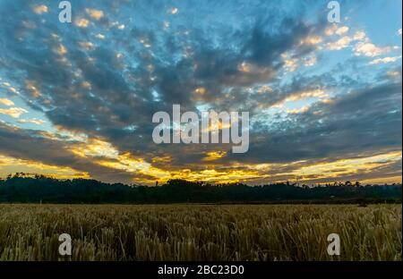 Il bellissimo tramonto si riversa da dorato a rosso a blu Foto Stock