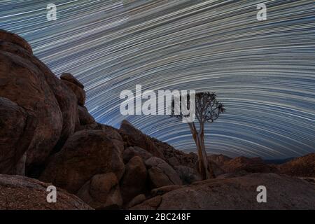 Una bella foto notturna del cielo di un albero faretra incorniciato da montagne rocciose, con sentieri stellari attraverso il cielo e dietro l'albero, preso nel Richter Foto Stock