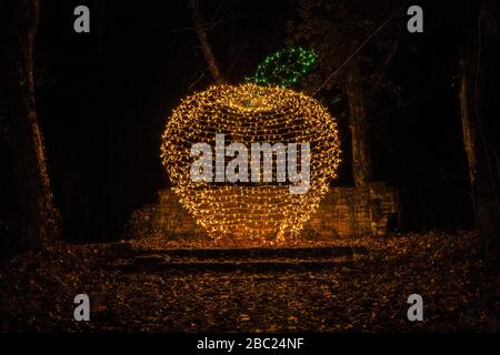 Luci di Natale nel parco a forma di mela Foto Stock