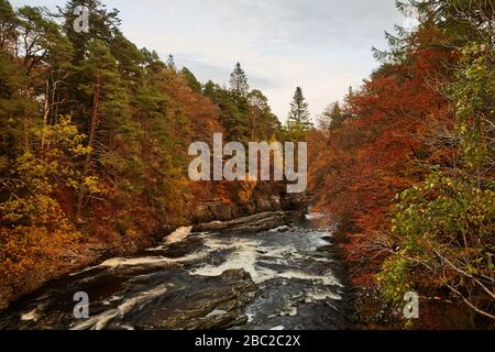 Cascate di Invermoriston, Scozia Foto Stock